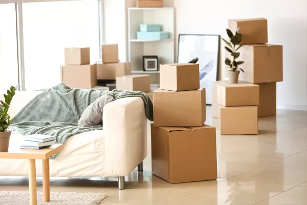Professional movers from a Salt Lake City moving company packing boxes in a family room
