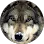 Brennen Lovato